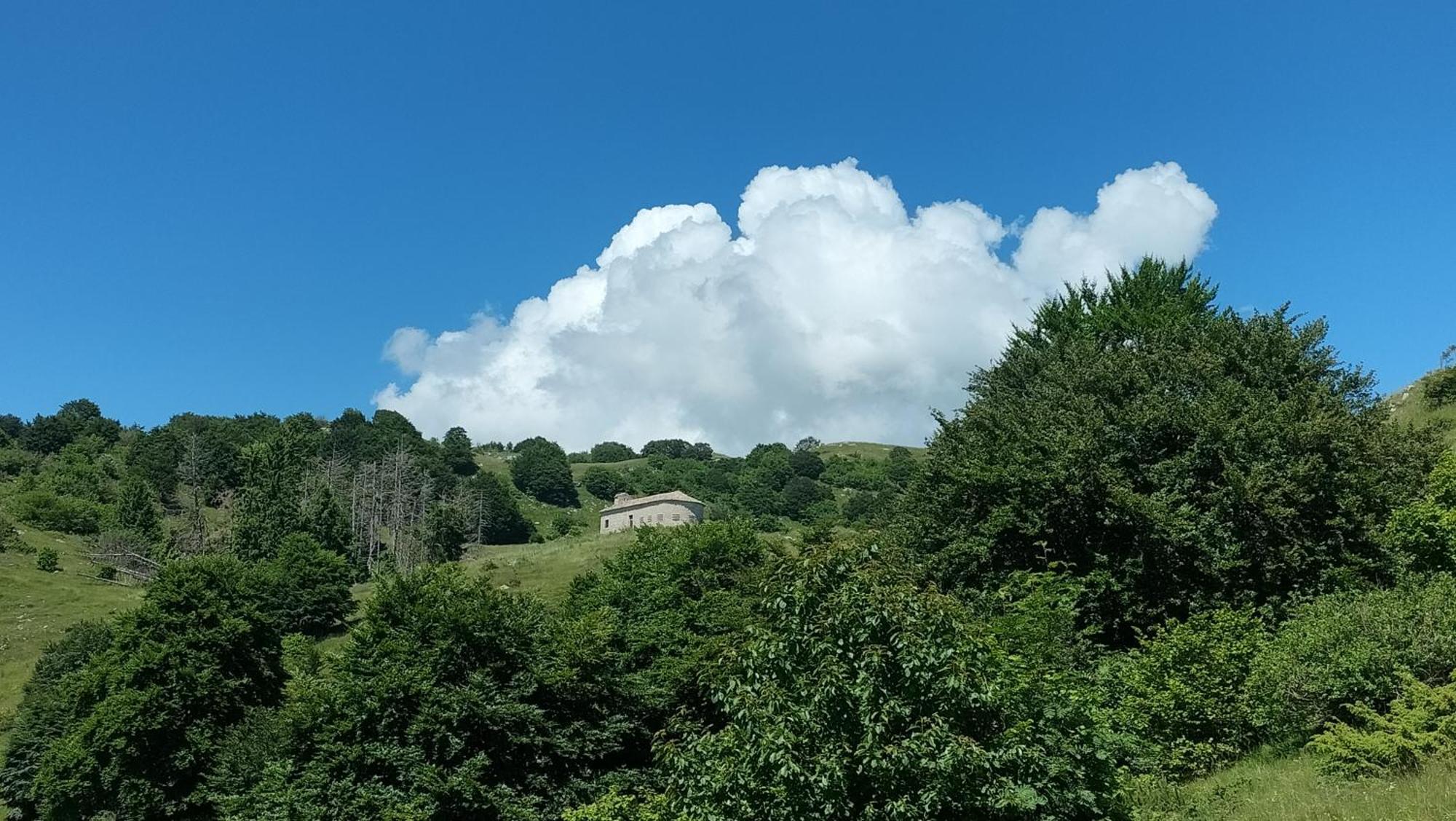 Casa Il Volo Apartment San Zeno di Montagna Luaran gambar